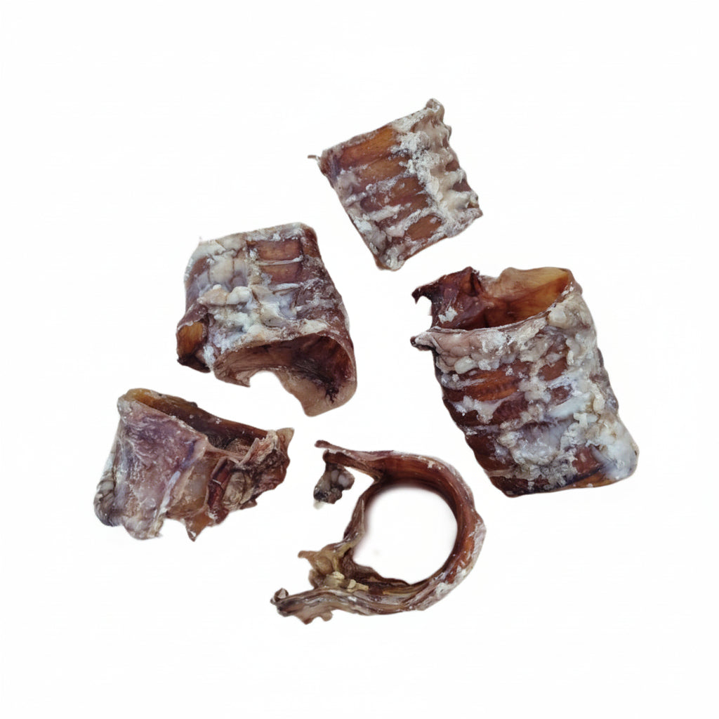 ProTrain Beef Trachea Rings – Natural Low-Fat Dog Chew Rings for Joint Health & Dental Care (Made in UK)