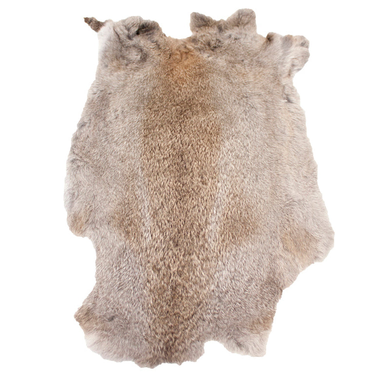 Bisley Rabbit Fur Skin | Natural Scent Training Aid | Gundog Retrieve Training