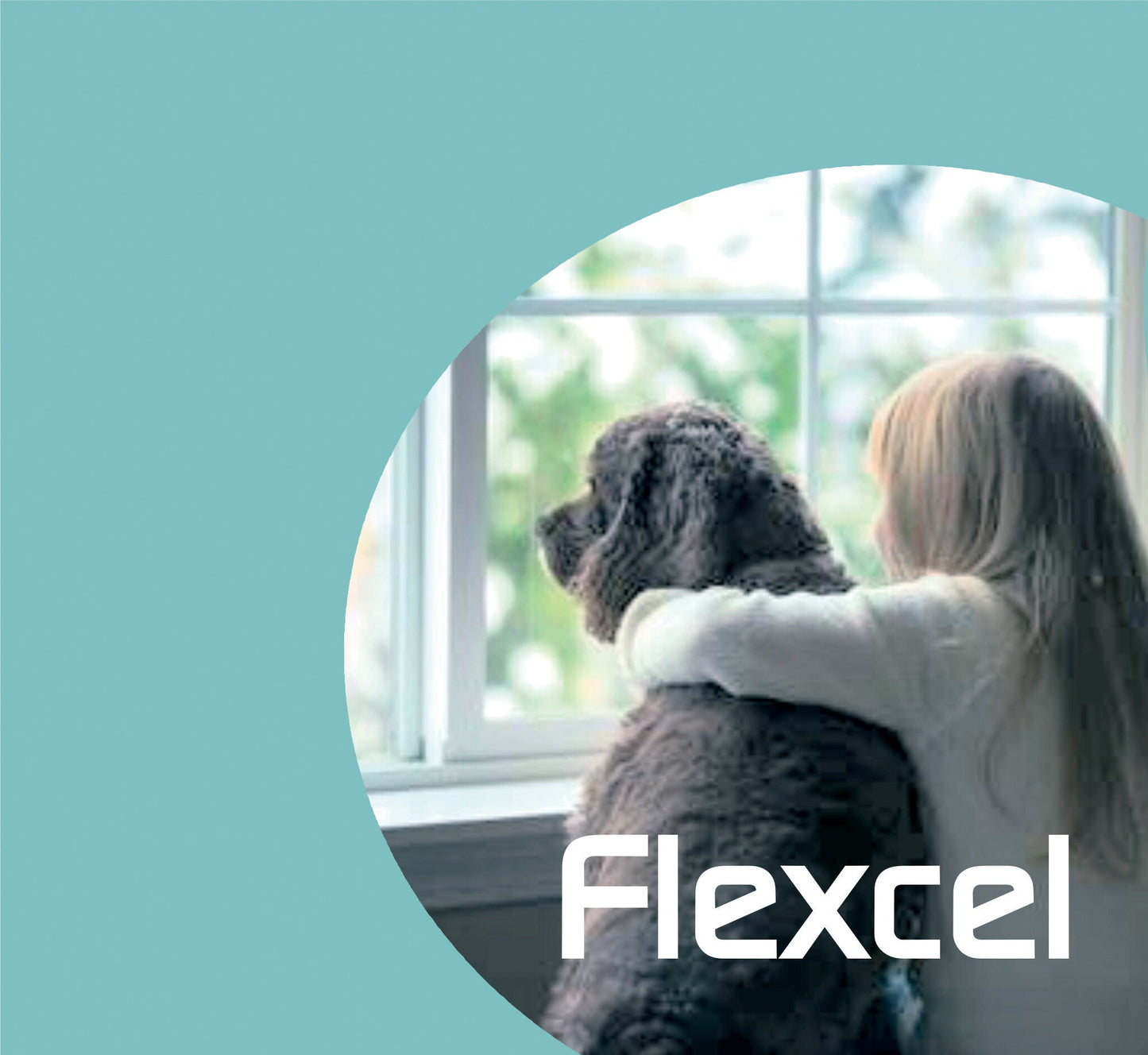 FlexCel CMO/Celadrin - Single 100 Capsules