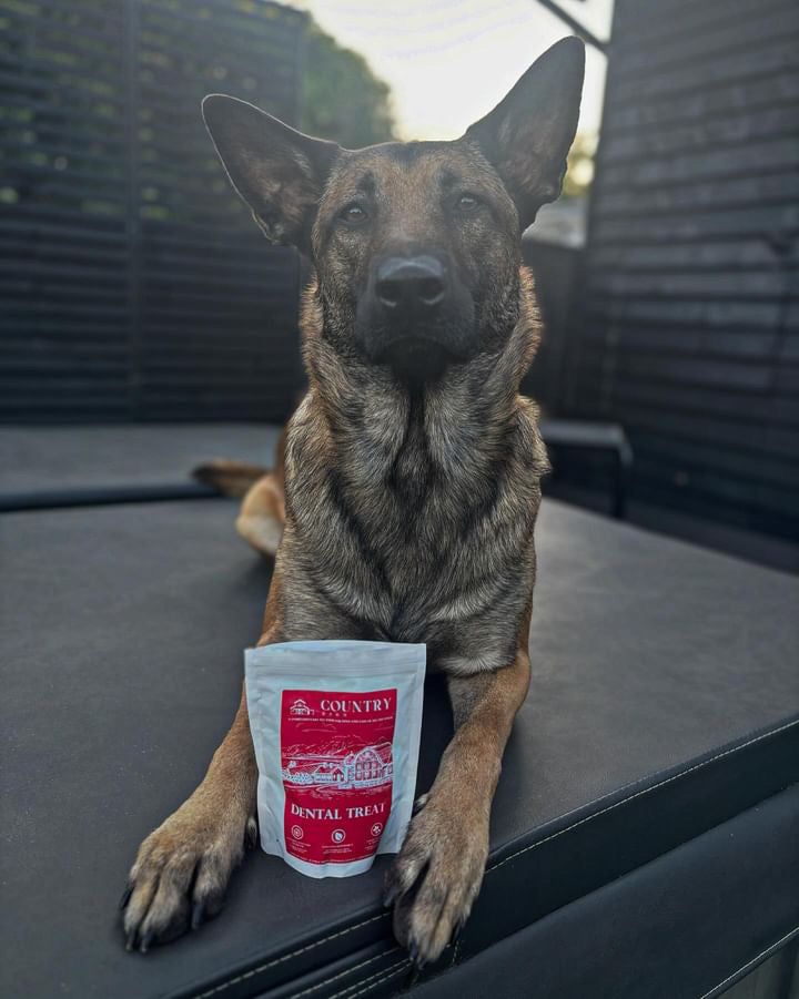 Turkey Dental Bites-Dog Treats