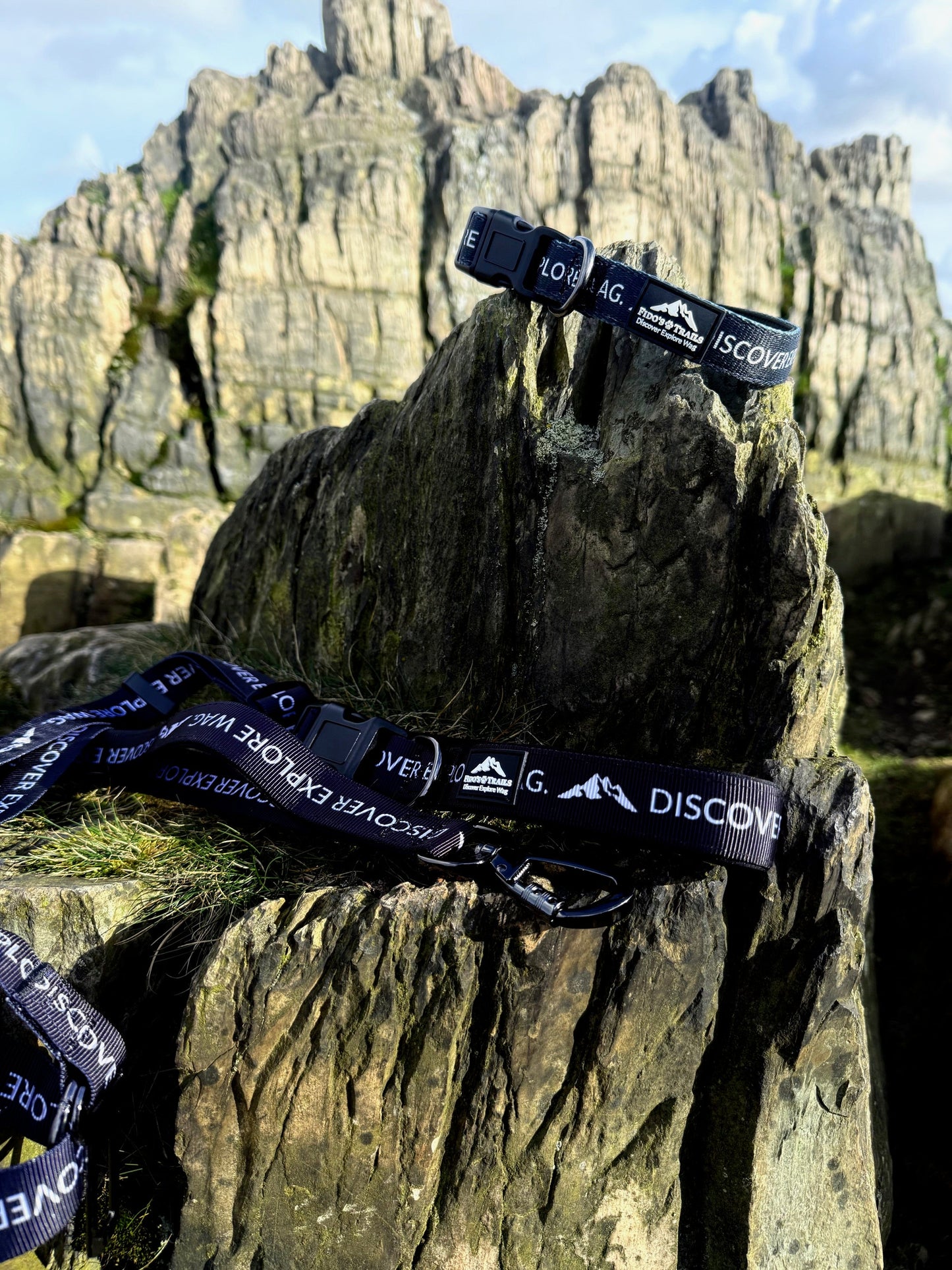 Fido's Signature Collar