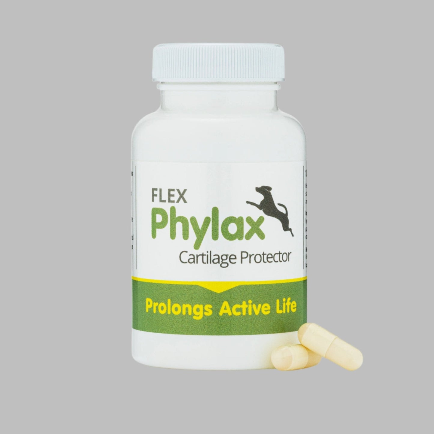 Phylax cartilage protector - 100 capsules - 3 months supply!