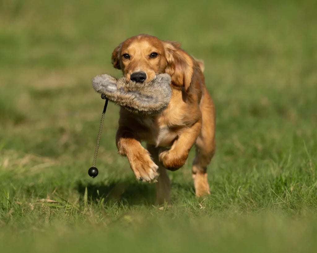 Sporting Saint Rabbit Dummy Ball — UK-Made Canvas Training Aid for Puppies & Gundogs