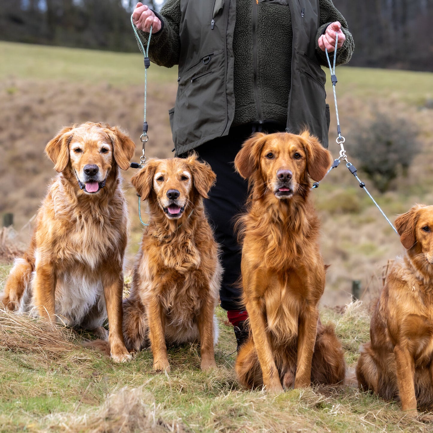 Field Trial Pro Brace Set.