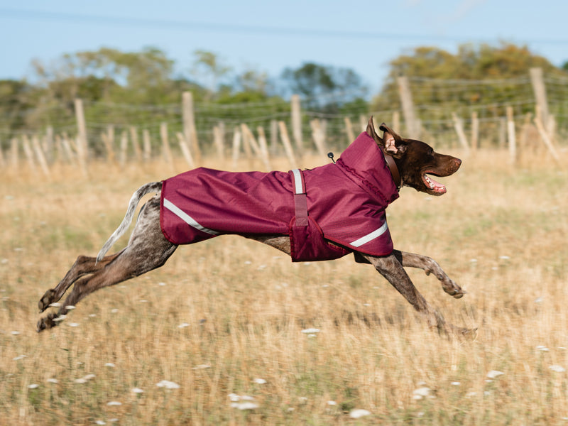 Luxe Waterproof Dog Coat 0g - Burgundy