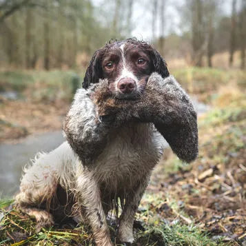 All In One Rabbit Dummy