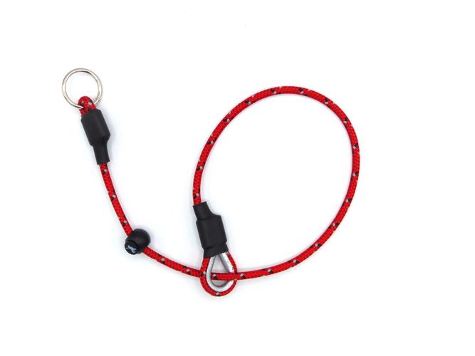Field Trial PRO Slip Collar in Red — UK made adjustable collar for Spaniels and Retrievers