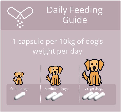 Uti-Care for Bladder Health & Urinary Tract Infections