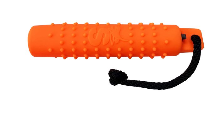 Water Training Dummies