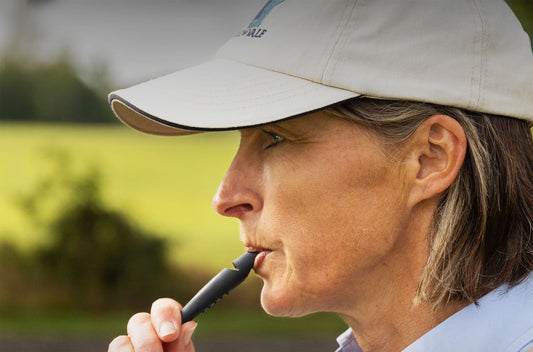 Choosing the Right Whistle to Enhance Gundog Training