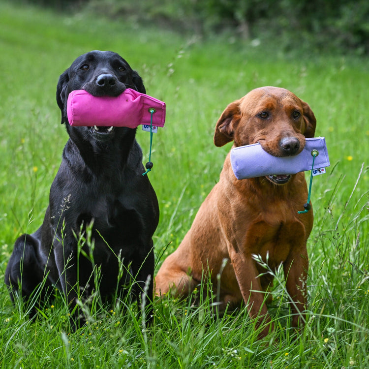 1/2lb Training Dummies
