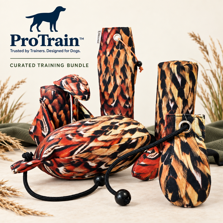 ProTrain curated Dog & Field Original Clone pheasant training bundle