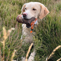 Grouse 1/2lb Dummy