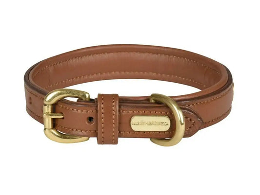 Weatherbeeta - Padded Leather Dog Collar