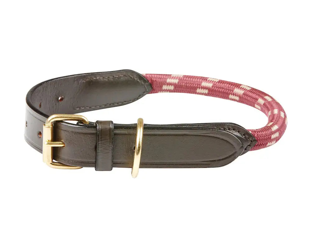 Weatherbeeta - Rope & Leather Dog Collar