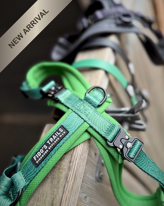 Contour Freedom Harness – Adjustable Y-Shaped Dog Harness