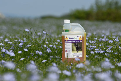 PureFlax Flaxseed Oil | Working Dog Supplement | Field to Bottle in 400 Yards