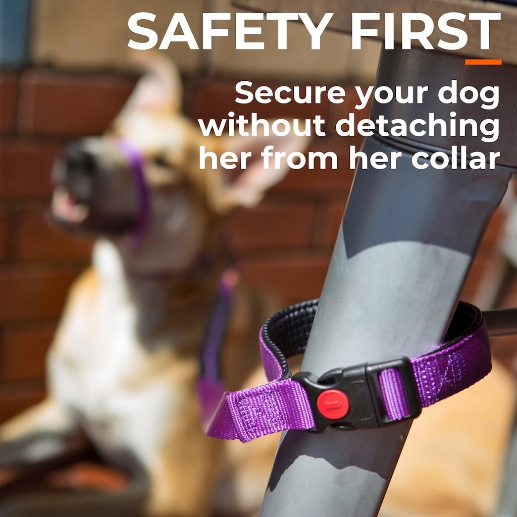 The Canny Company CONNECT Lead | Ultralight Pocket-Packable Dog Lead | 4 Colours | 2 Sizes