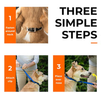 The Canny Collar | No-Pull Dog Headcollar | Voted Best New Product | 4 Colours | 7 Sizes