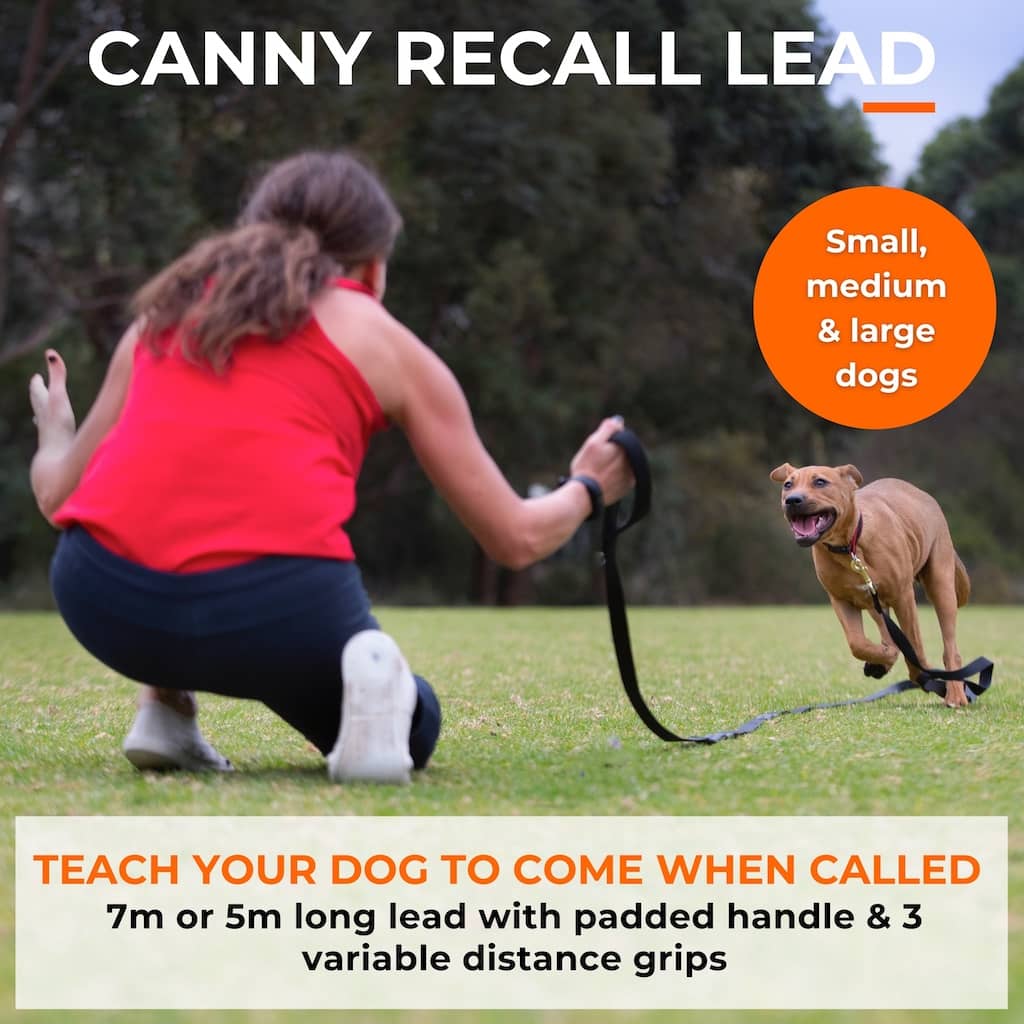 The Canny Company Recall Lead | Long Line for Recall Training | 5m or 7m | Brushed Steel or Carabiner