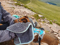 Henry Wag Microfibre Noodle Glove Towel | Dog Drying & Grooming Mitt