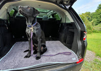 Henry Wag Noodle Mat