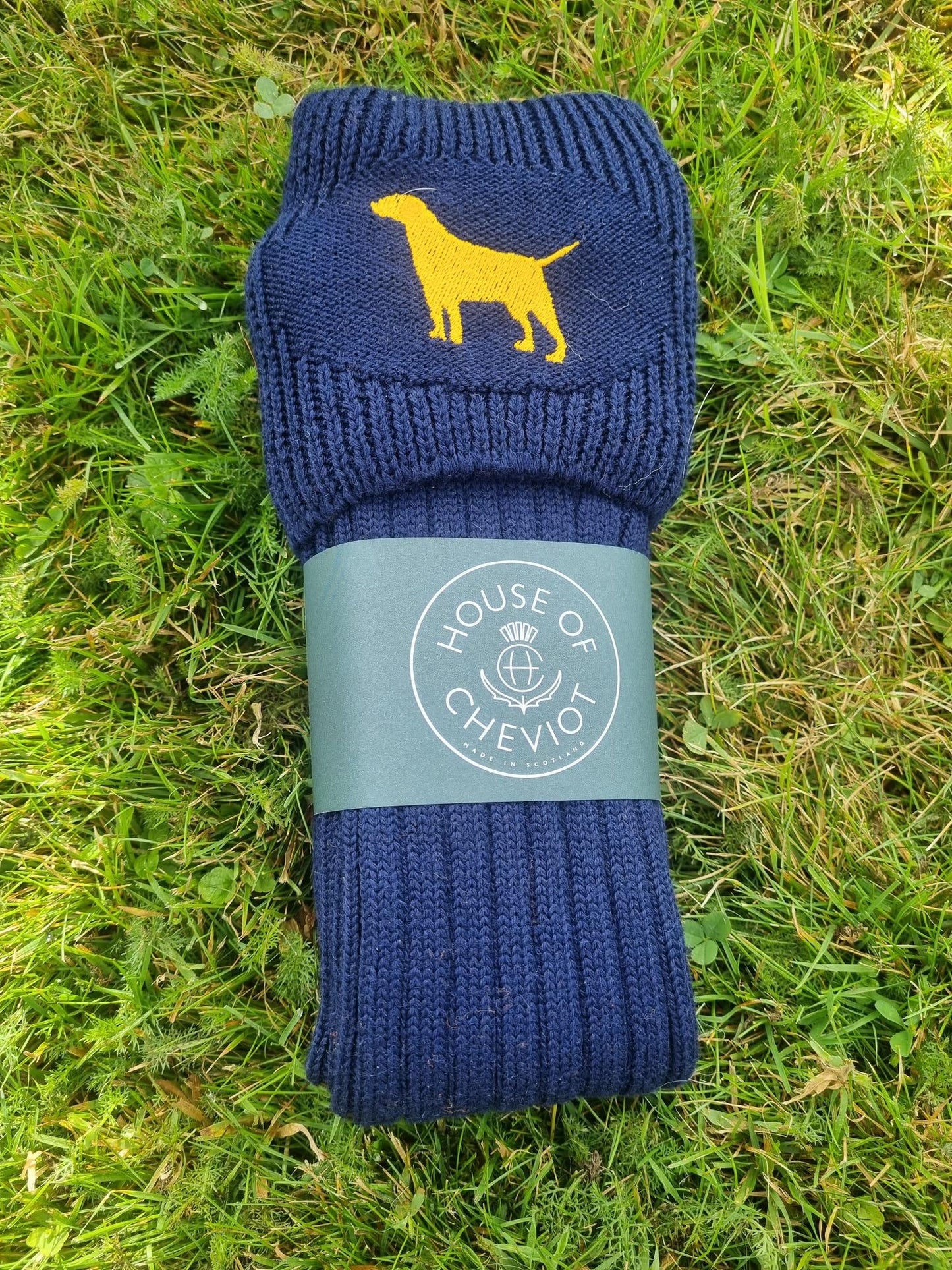 Buckminster Golden Labrador Socks