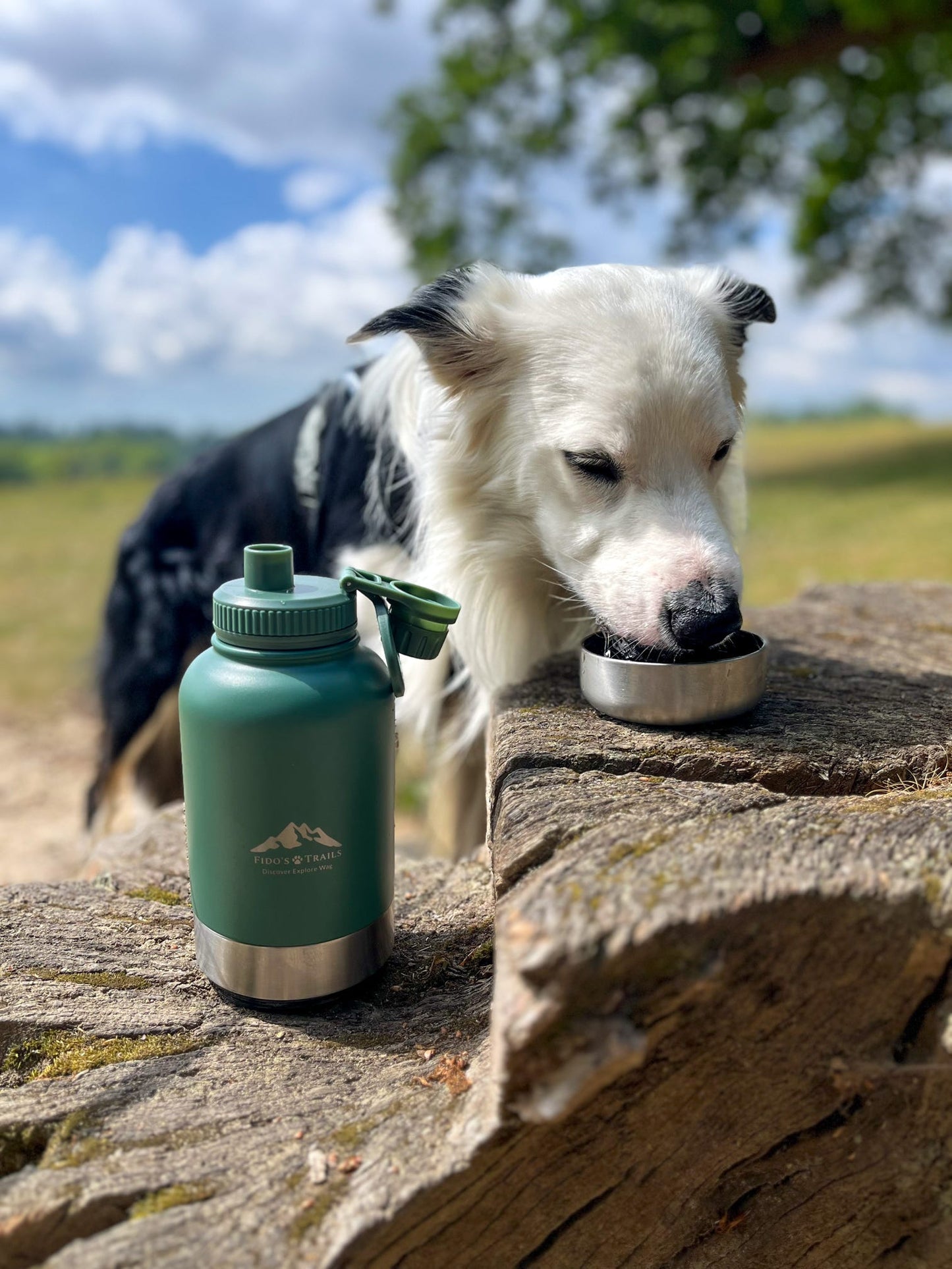 Fido's Trails 3-in-1 Water Bottle with Detachable Bowls – For Dogs & Owners, 1 Litre Forest Green