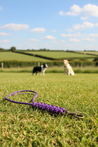 The Keeper Lanyard — ProTrain Essential