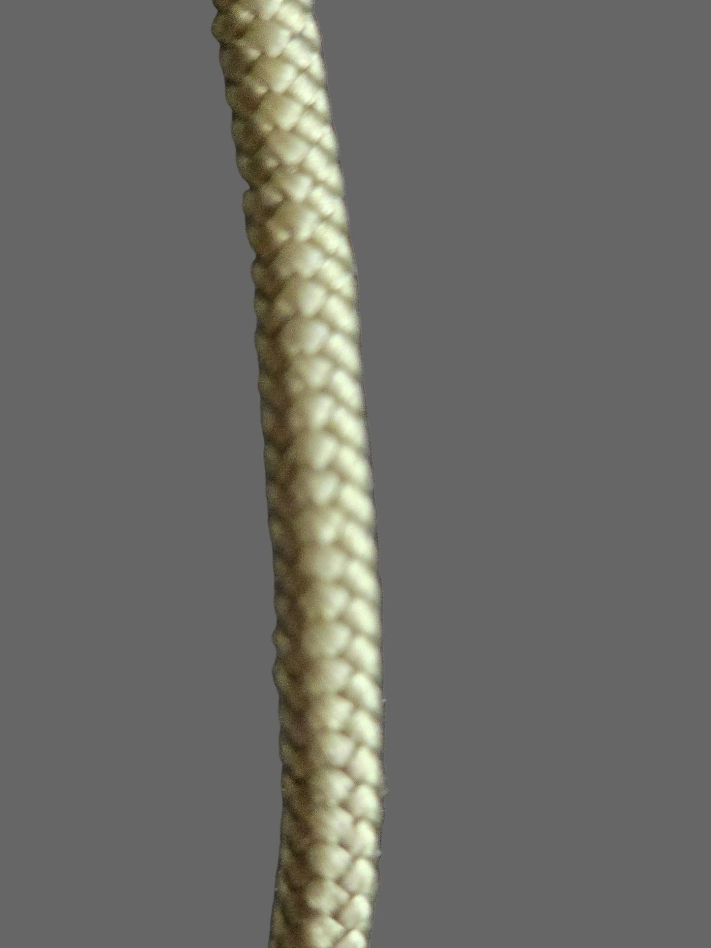 ProTrain Expert Slip Lead | 5mm Braided Rope | Metal Ferrule Clamps | Olive