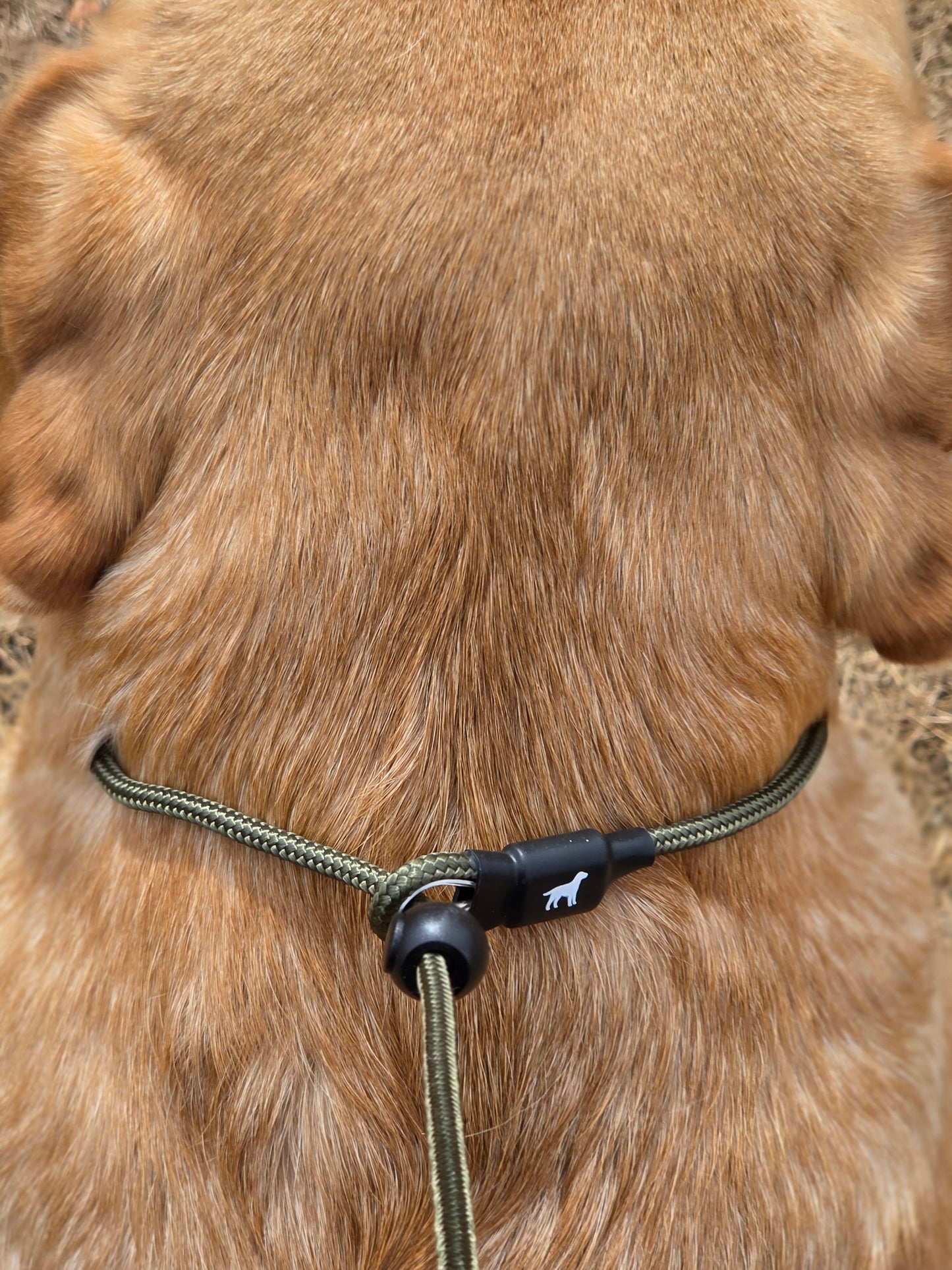 ProTrain Expert Slip Lead | 5mm Braided Rope | Metal Ferrule Clamps | Olive