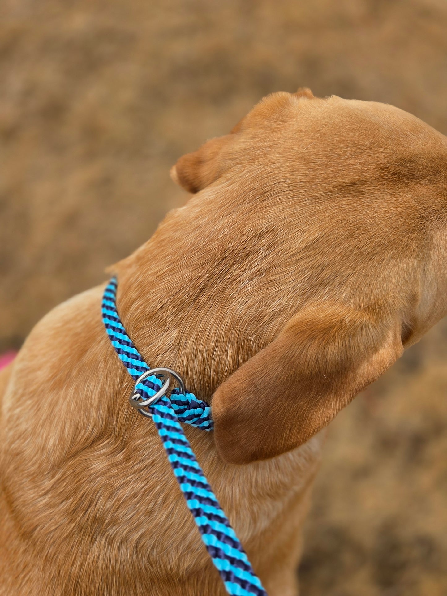 ProTrain™ Essentials Braided Slip Lead | Soft Rope Dog Training Lead with Figure of Eight Option