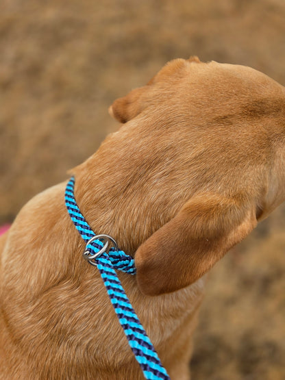 ProTrain™ Essentials Braided Slip Lead | Soft Rope Dog Training Lead with Figure of Eight Option