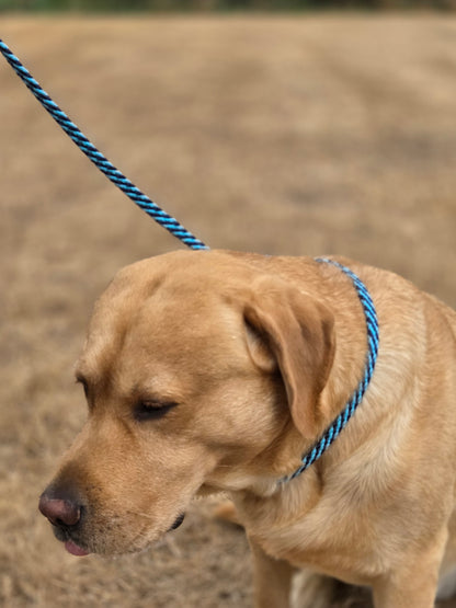 ProTrain™ Essentials Braided Slip Lead | Soft Rope Dog Training Lead with Figure of Eight Option