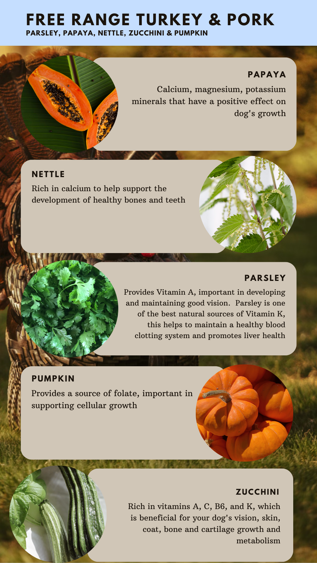 Turkey & Pork-Dry Dog Food