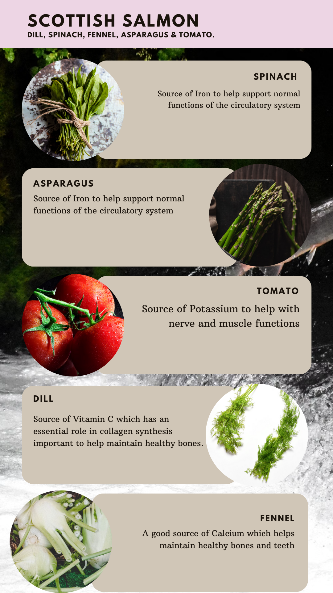 Puppy - Scottish Salmon-Dry Dog Food