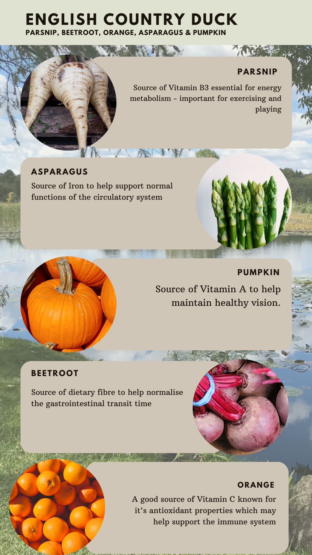 Country English Duck-Dry Dog Food