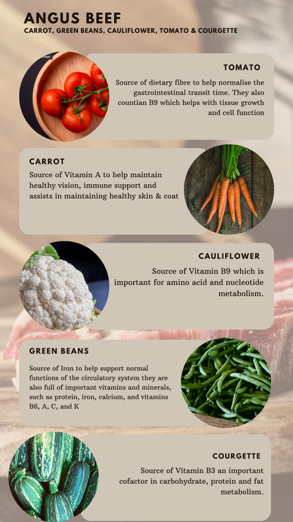 Angus Beef-Dry Dog Food