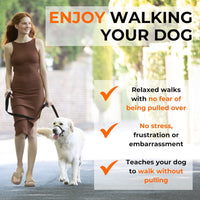 The Canny Collar | No-Pull Dog Headcollar | Voted Best New Product | 4 Colours | 7 Sizes