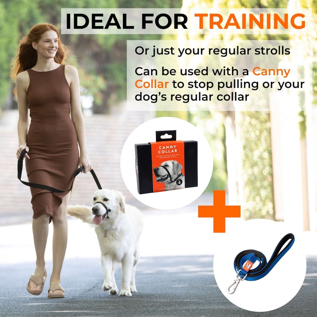 The Canny Company Lead | Ultralight Padded Handle Dog Lead | 4 Colours | 2 Sizes
