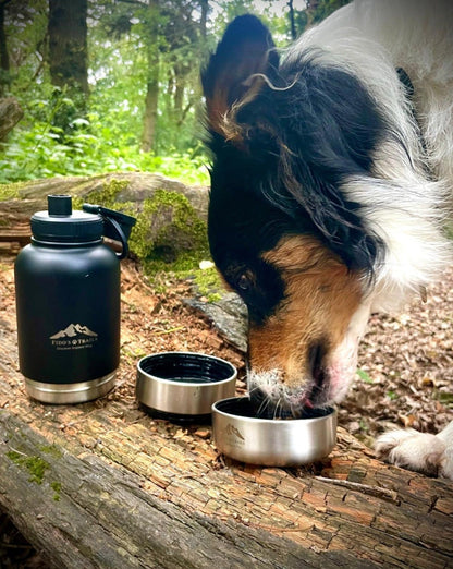Fido's Trails 3-in-1 Water Bottle with Detachable Bowls – For Dogs & Owners, 1 Litre Black