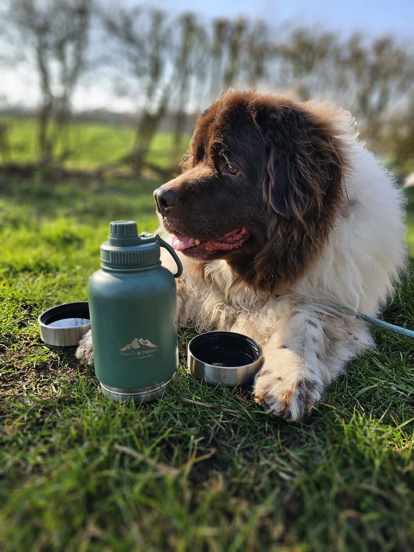 Fido's Trails 3-in-1 Water Bottle with Detachable Bowls – For Dogs & Owners, 1 Litre Forest Green
