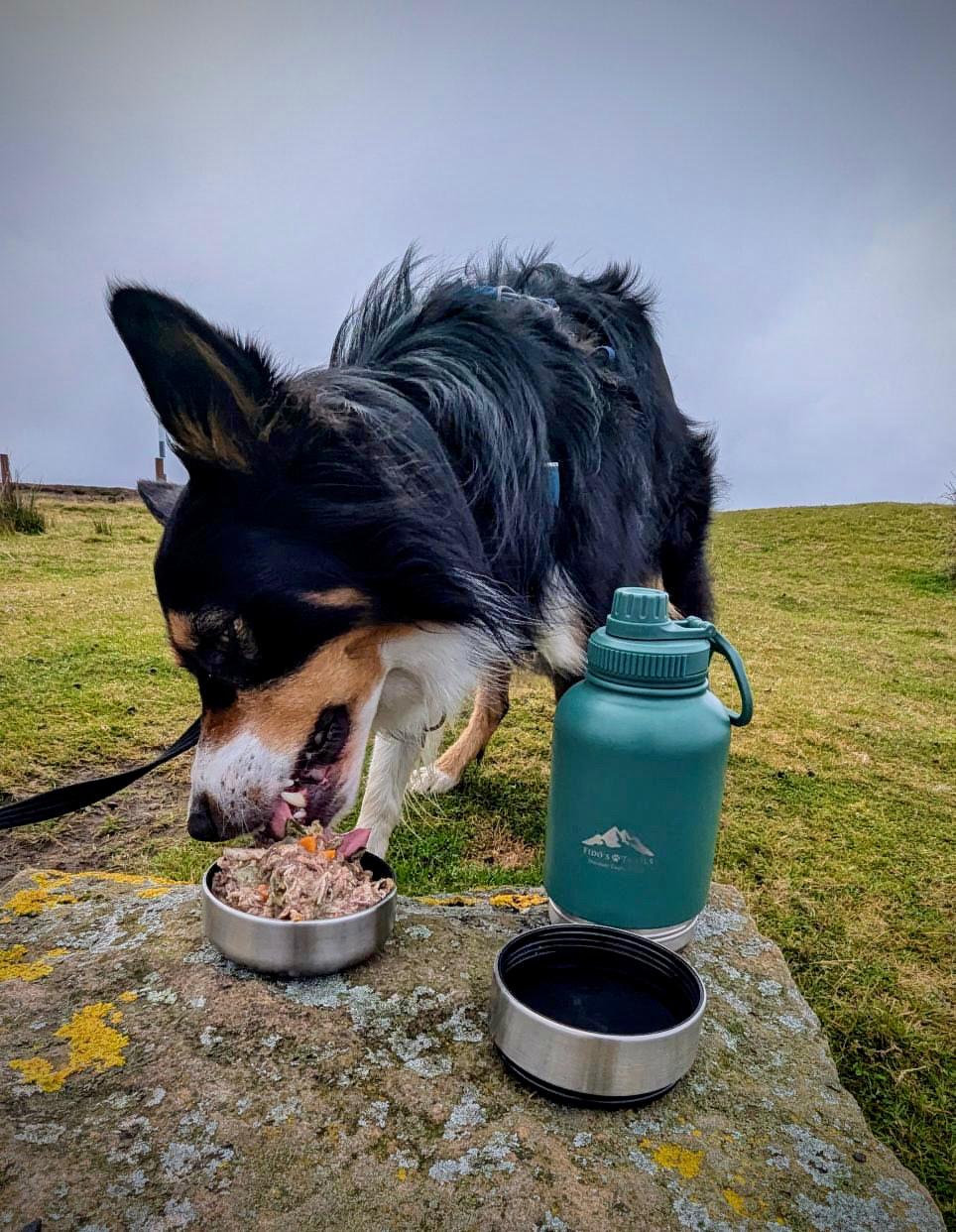 Fido's Trails 3-in-1 Water Bottle with Detachable Bowls – For Dogs & Owners, 1 Litre Forest Green