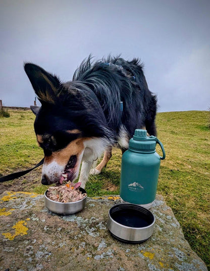 Fido's Trails 3-in-1 Water Bottle with Detachable Bowls – For Dogs & Owners, 1 Litre Forest Green