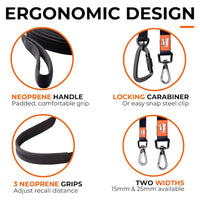 The Canny Company Recall Lead | Long Line for Recall Training | 5m or 7m | Brushed Steel or Carabiner
