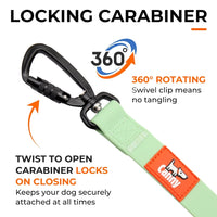 The Canny Company Splash Waterproof Lead | 100% Waterproof, Odourless & Wipe-Clean | 4 Colours