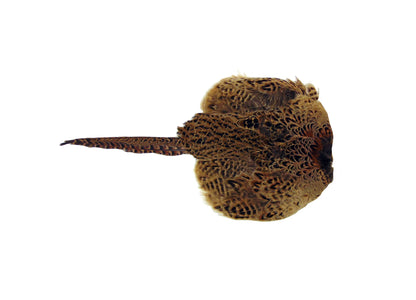 Pheasant Pelt Dummy | Cock OR Hen | Genuine Cured Pelt — Sporting Saint