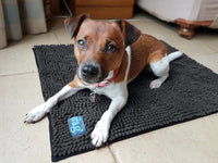 Henry Wag Noodle Mat