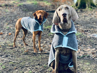 Henry Wag Microfibre Drying Coat | Fast-Drying Dog Coat XS–2XL