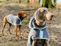 Henry Wag Microfibre Drying Coat | Fast-Drying Dog Coat XS–2XL